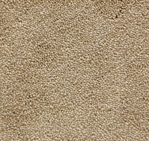 Ковролин Radici Lord Beige 126A фото 1 | FLOORDEALER